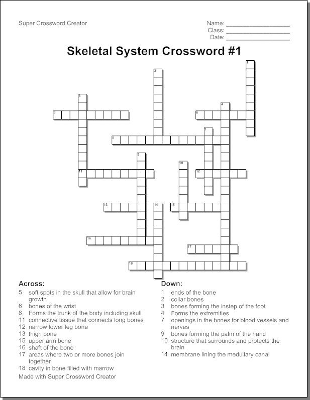 Drivers ed crossword puzzle answers chapter 6
